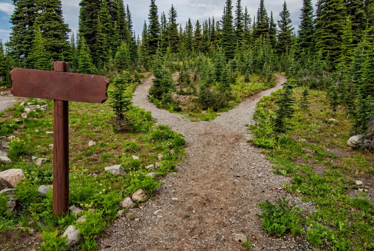 The Price of Choice: A Reflection on Financial Wellness for Physicians thumbnail