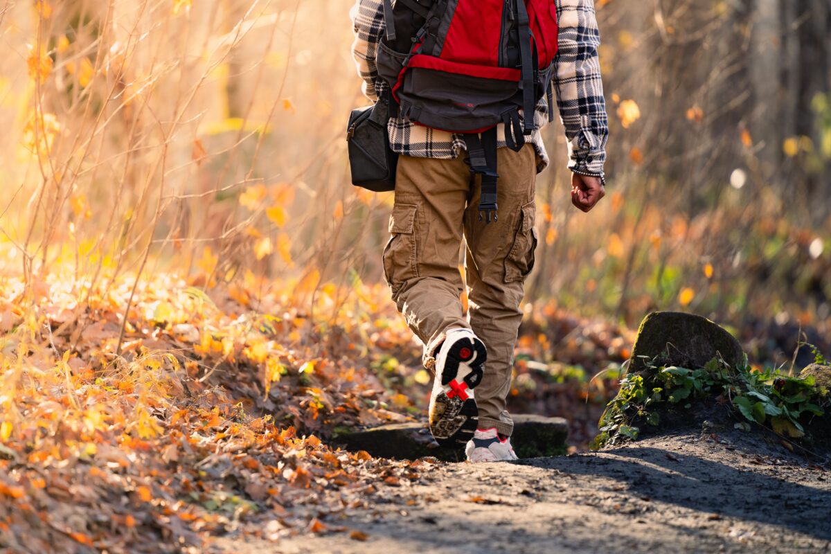 What Does Your Next Journey Look Like? thumbnail